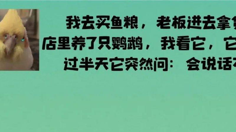 膨化食品的“美味密码”：揭秘年销爆款背后的秘密